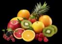fruits