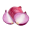 Onion